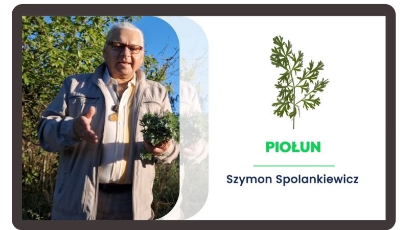 Czerwona Szałwia Szymon Spolankiewicz Czerwona Szałwia Szymon Spolankiewicz