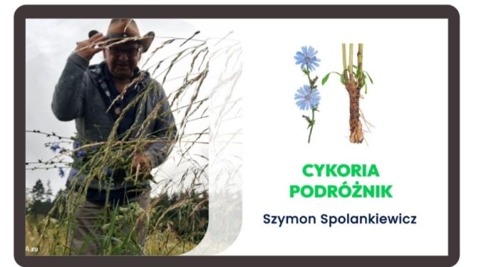 Czerwona Szałwia Szymon Spolankiewicz Czerwona Szałwia Szymon Spolankiewicz